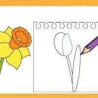 How to draw a flower with step by step tutorial.
