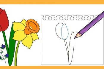 How to draw a flower with step by step tutorial.