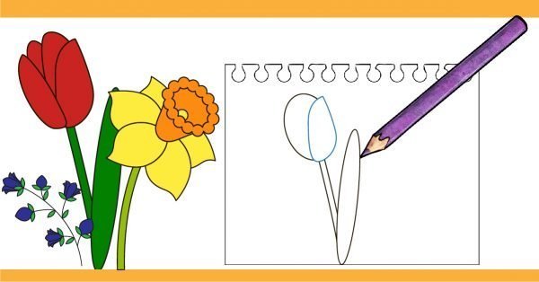 How to draw a flower with step by step tutorial.