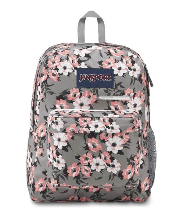 Jansport backpack for hauling teacher supplies.